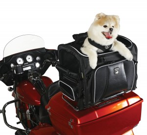 Photo of Rover on Red Harley Davidson - Top Open, dog popping head out